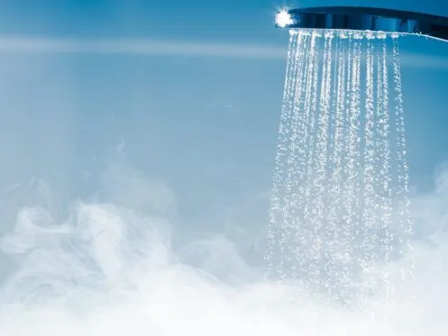 shower head